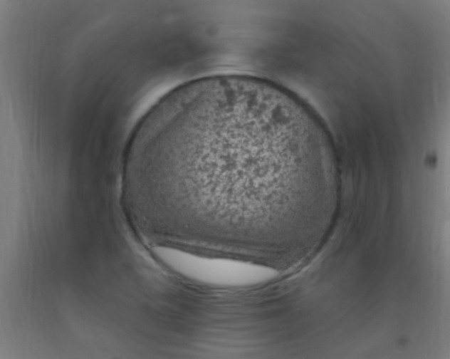 X0000092031415200709271600