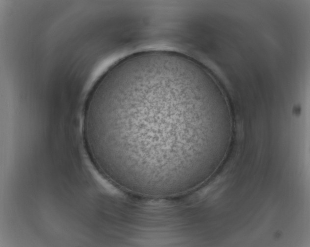 X0000092031416200709271600