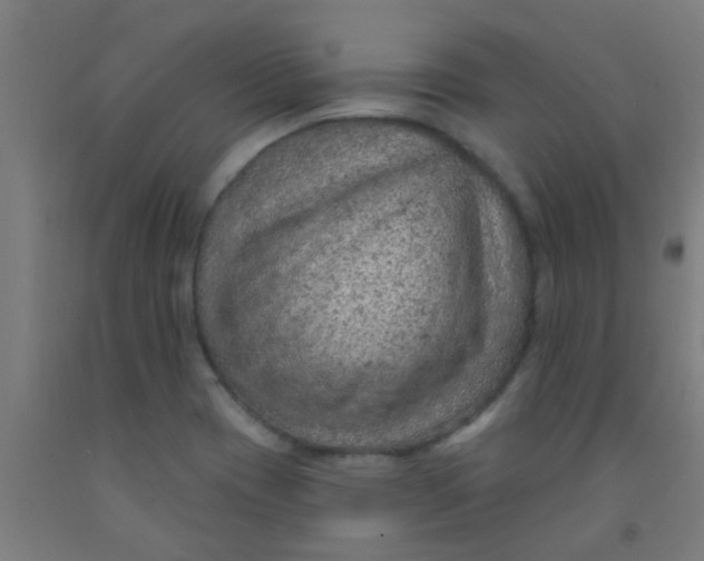 X0000092031417200709271600