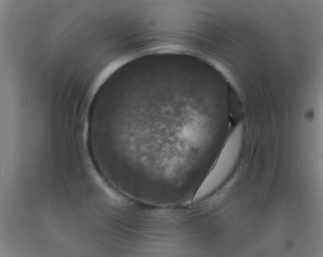 X0000092031418200709271600