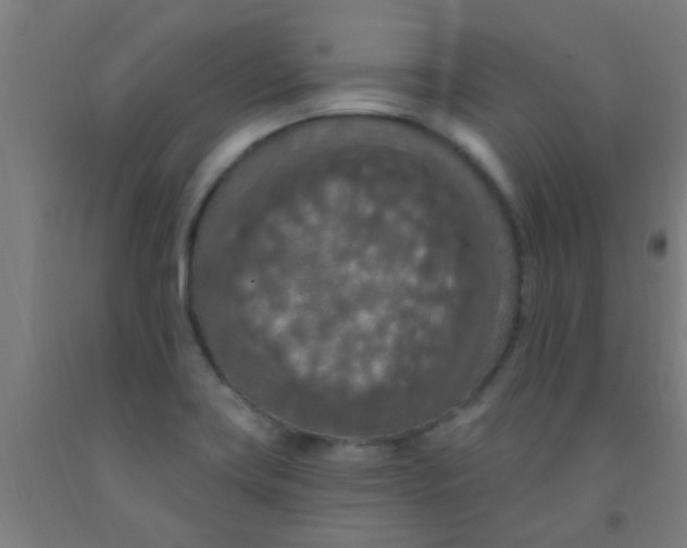 X0000092031419200709271600