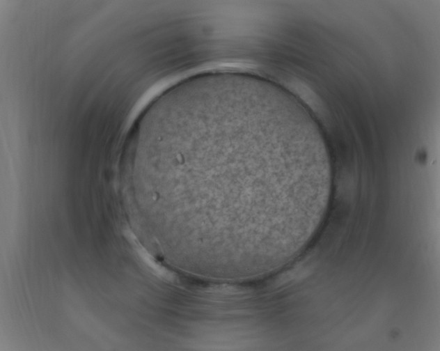 X0000092031420200709271600