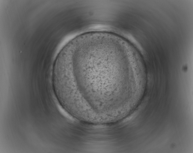 X0000092031421200709271600