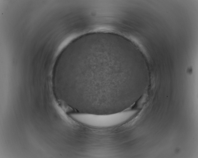 X0000092031422200709271600