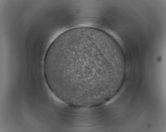 X0000092031423200709271600