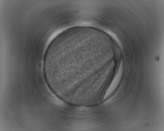 X0000092031424200709271600