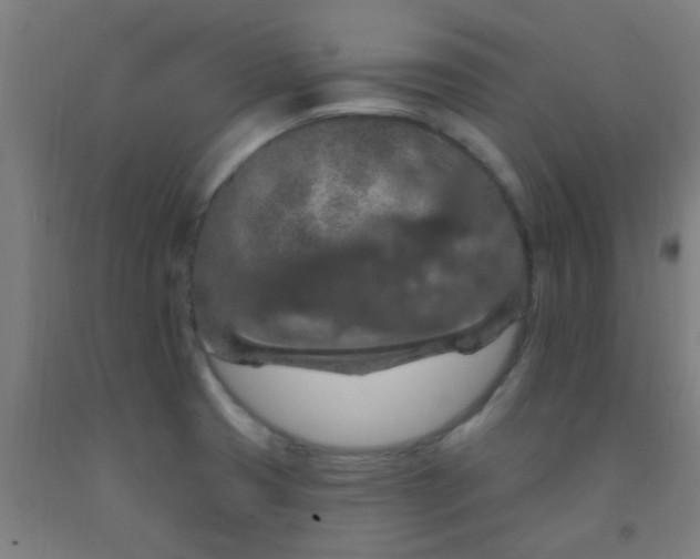 X0000092031425200709271600