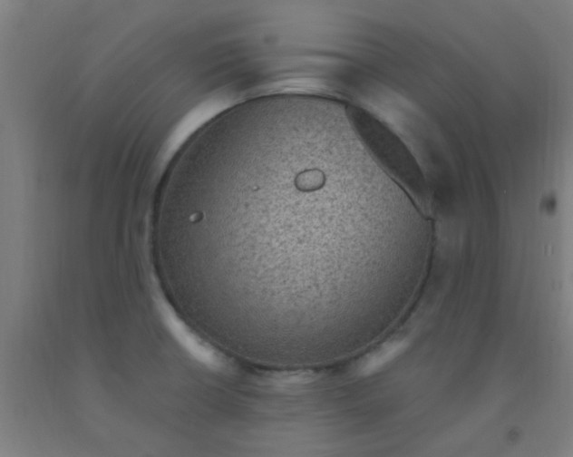 X0000092031426200709271600