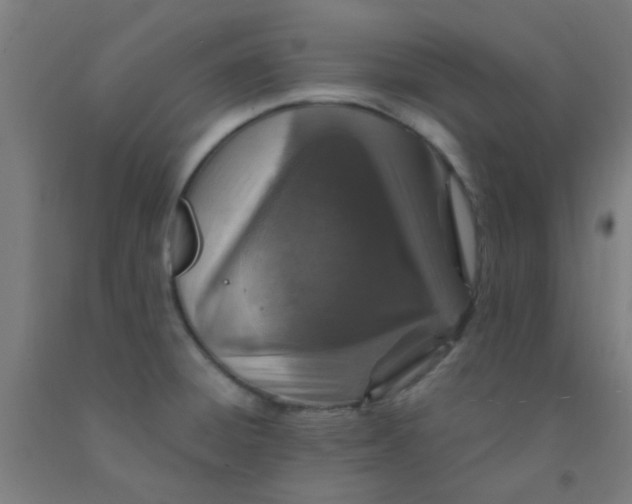 X0000092031428200709271600