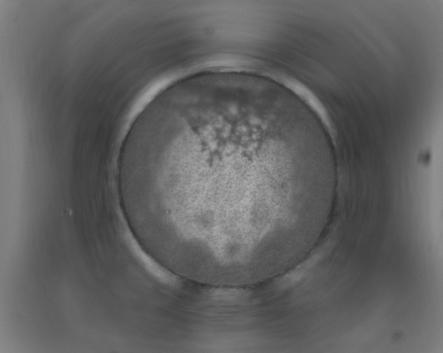 X0000092031429200709271600