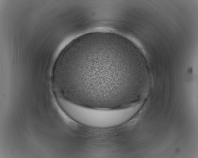 X0000092031430200709271600