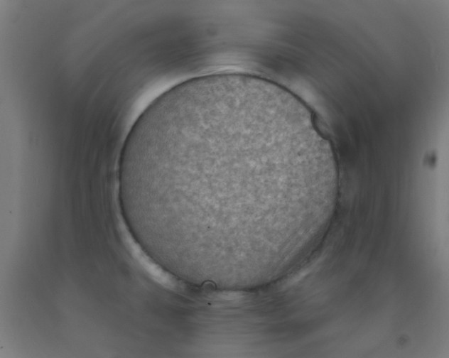 X0000092031431200709271600