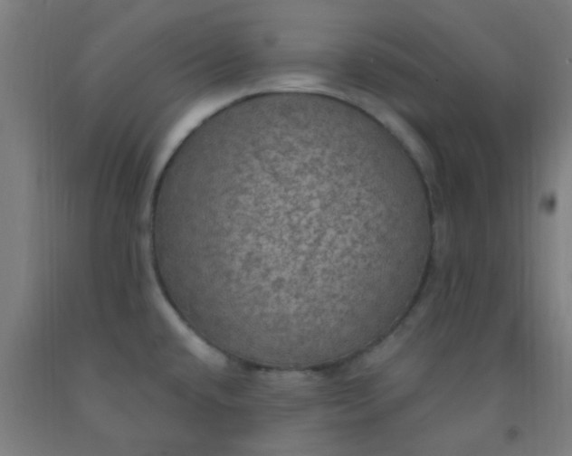 X0000092031432200709271600