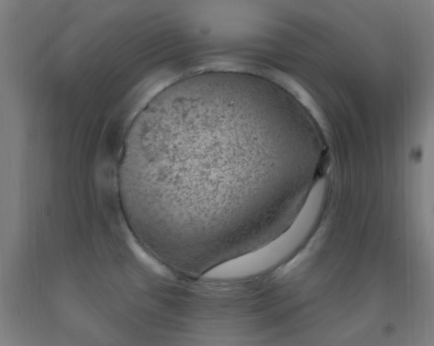 X0000092031433200709271600