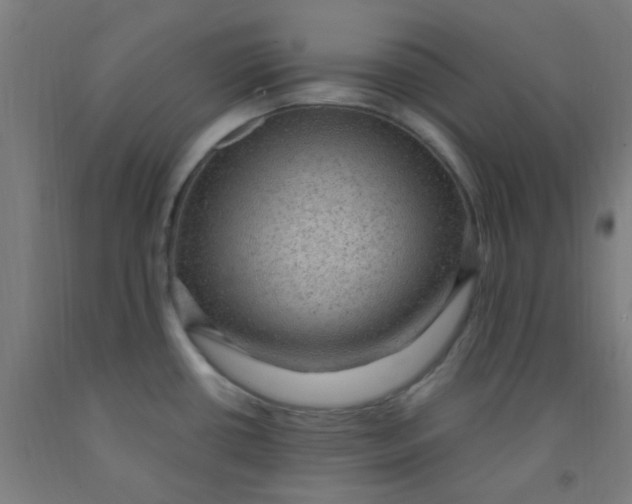 X0000092031434200709271600