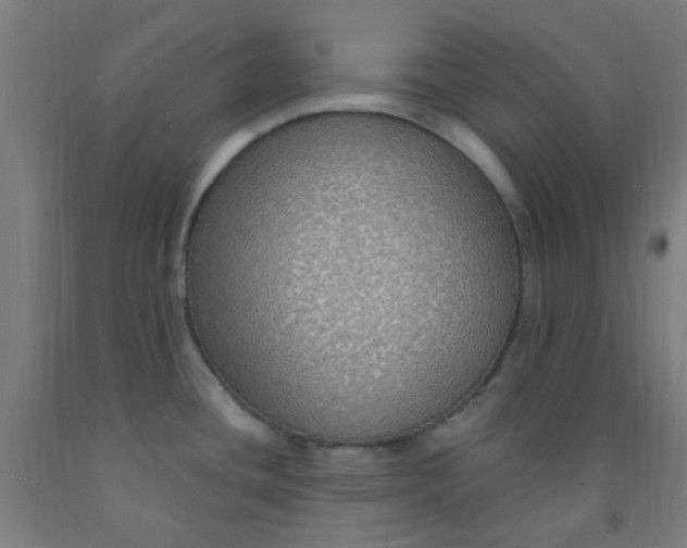 X0000092031436200709271600