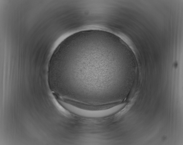 X0000092031438200709271600