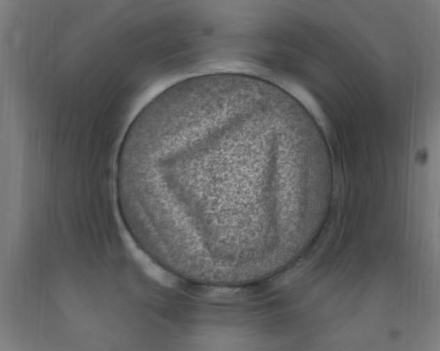 X0000092031439200709271600