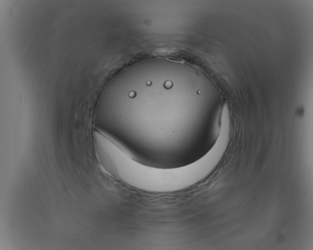 X0000092031441200709271600