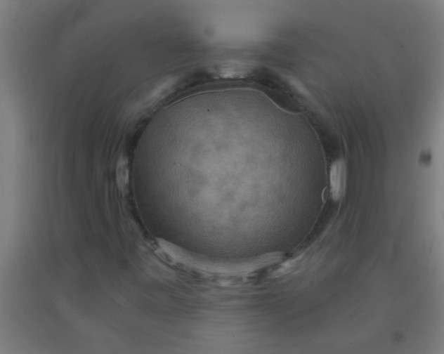 X0000092031443200709271600