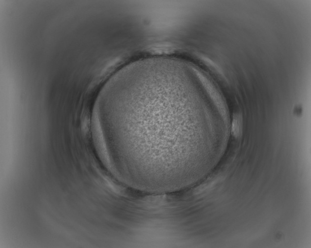 X0000092031444200709271600