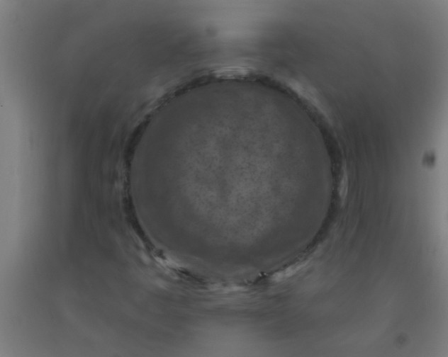 X0000092031445200709271600