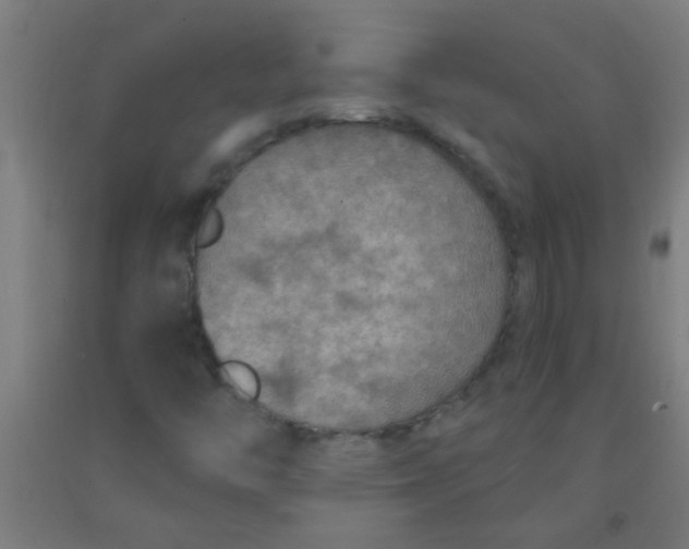 X0000092031446200709271600