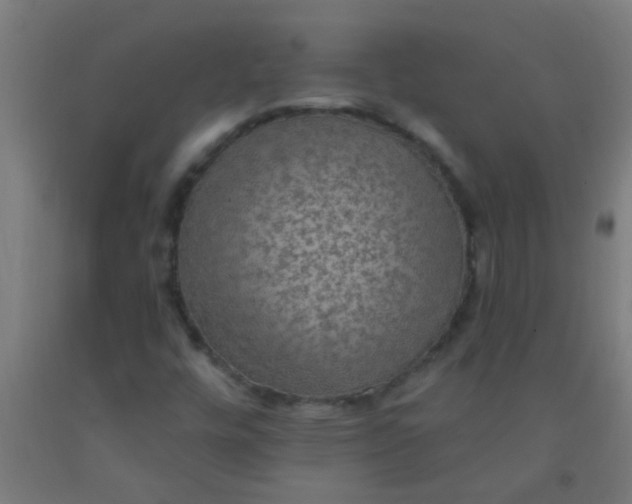 X0000092031448200709271600