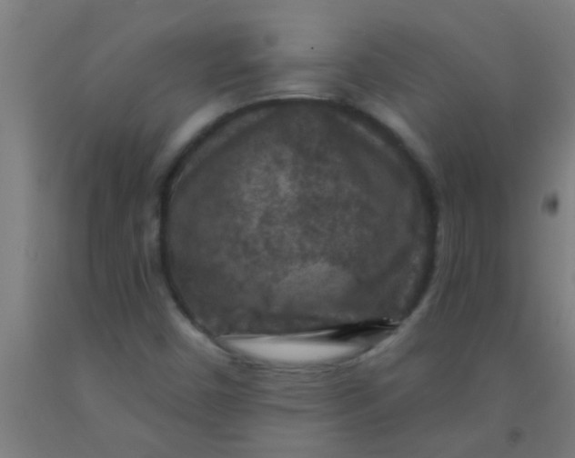 X0000092031450200709271600