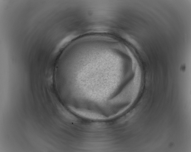 X0000092031451200709271600