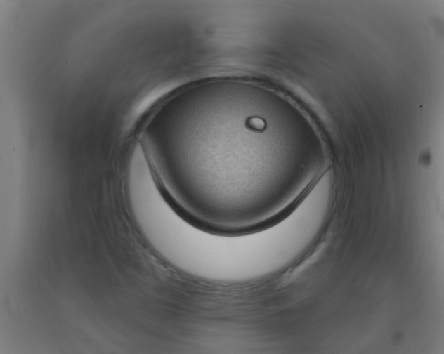 X0000092031453200709271600