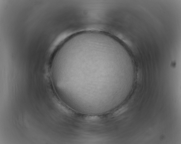 X0000092031454200709271559