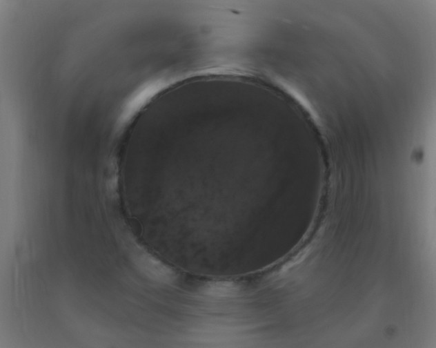 X0000092031455200709271559