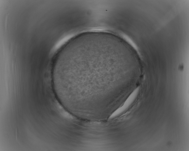 X0000092031456200709271559