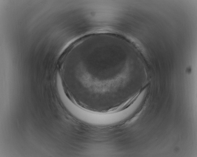 X0000092031457200709271559