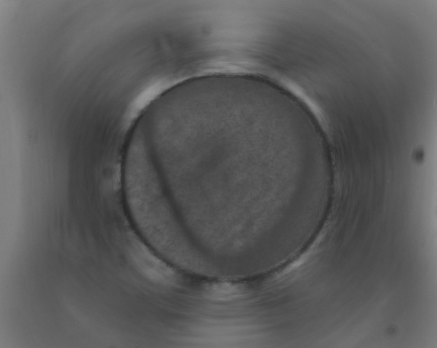 X0000092031459200709271559