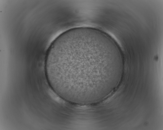 X0000092031460200709271559