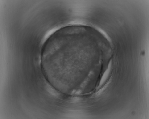 X0000092031461200709271559