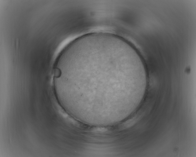 X0000092031462200709271559