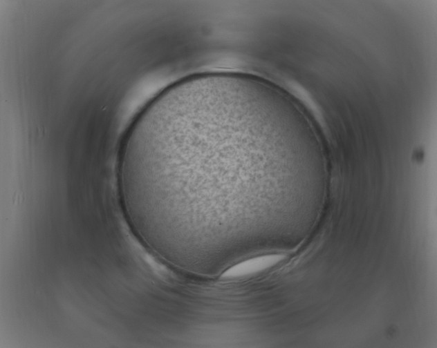 X0000092031464200709271559