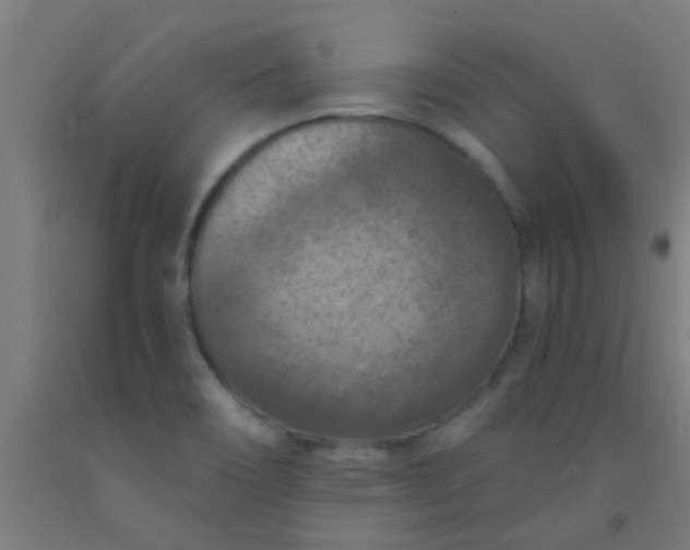 X0000092031466200709271559