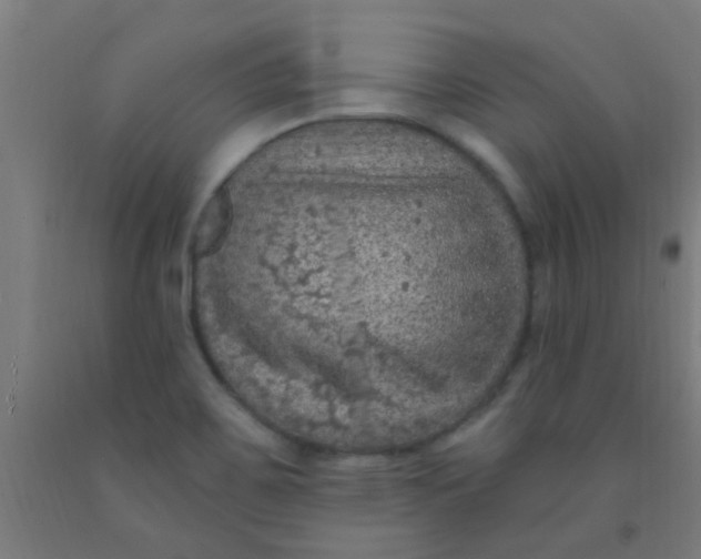 X0000092031467200709271559