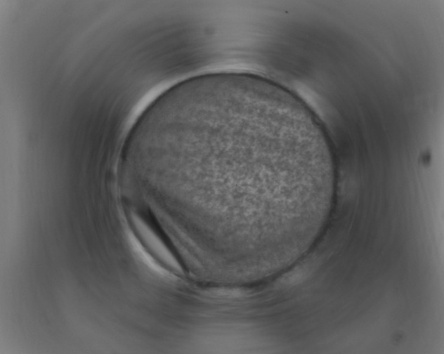 X0000092031468200709271559