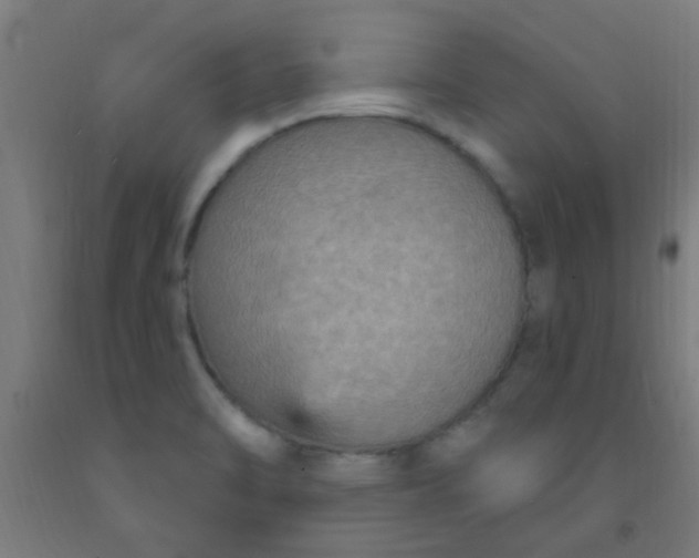 X0000092031470200709271559