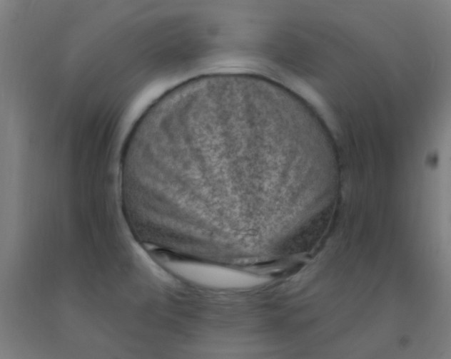 X0000092031472200709271559