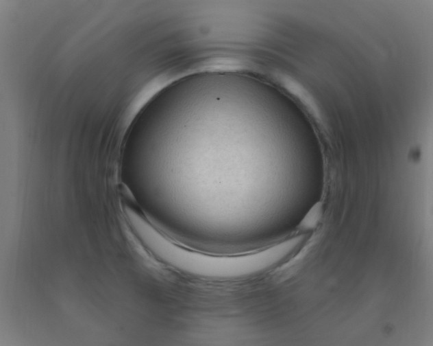 X0000092031473200709271559