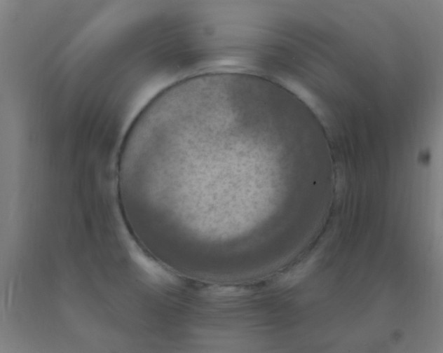 X0000092031474200709271559