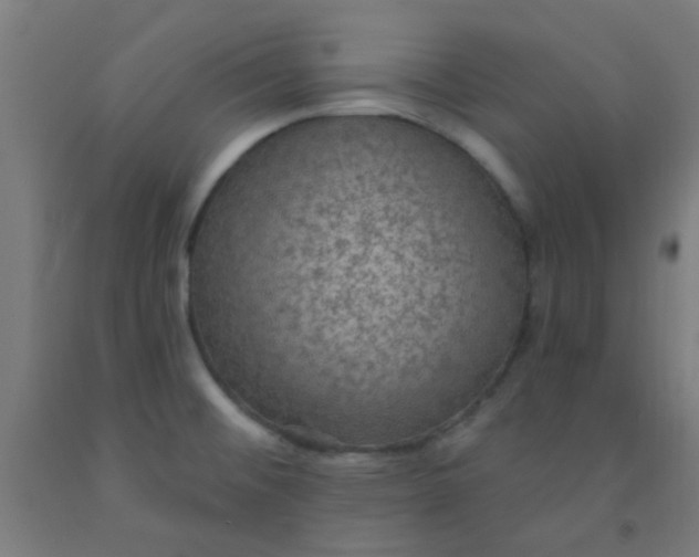 X0000092031476200709271559