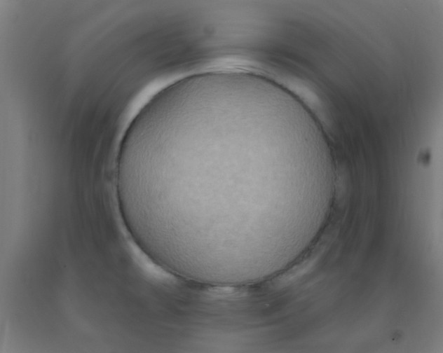 X0000092031478200709271559