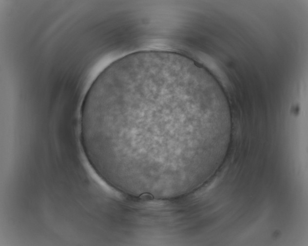 X0000092031479200709271559